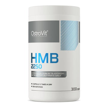 OstroVit HMB 2250