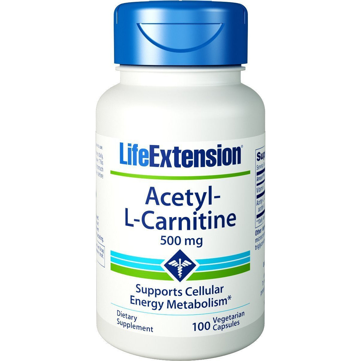 Life Extension