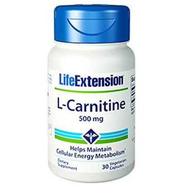Life Extension