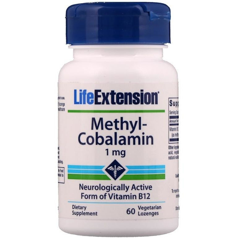 Life Extension