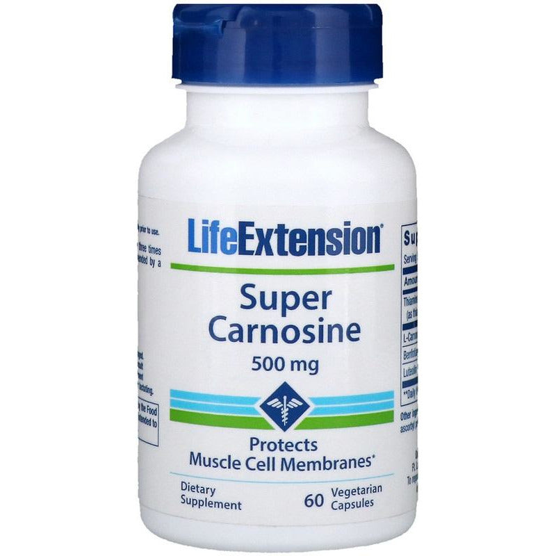 Life Extension