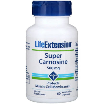 Life Extension
