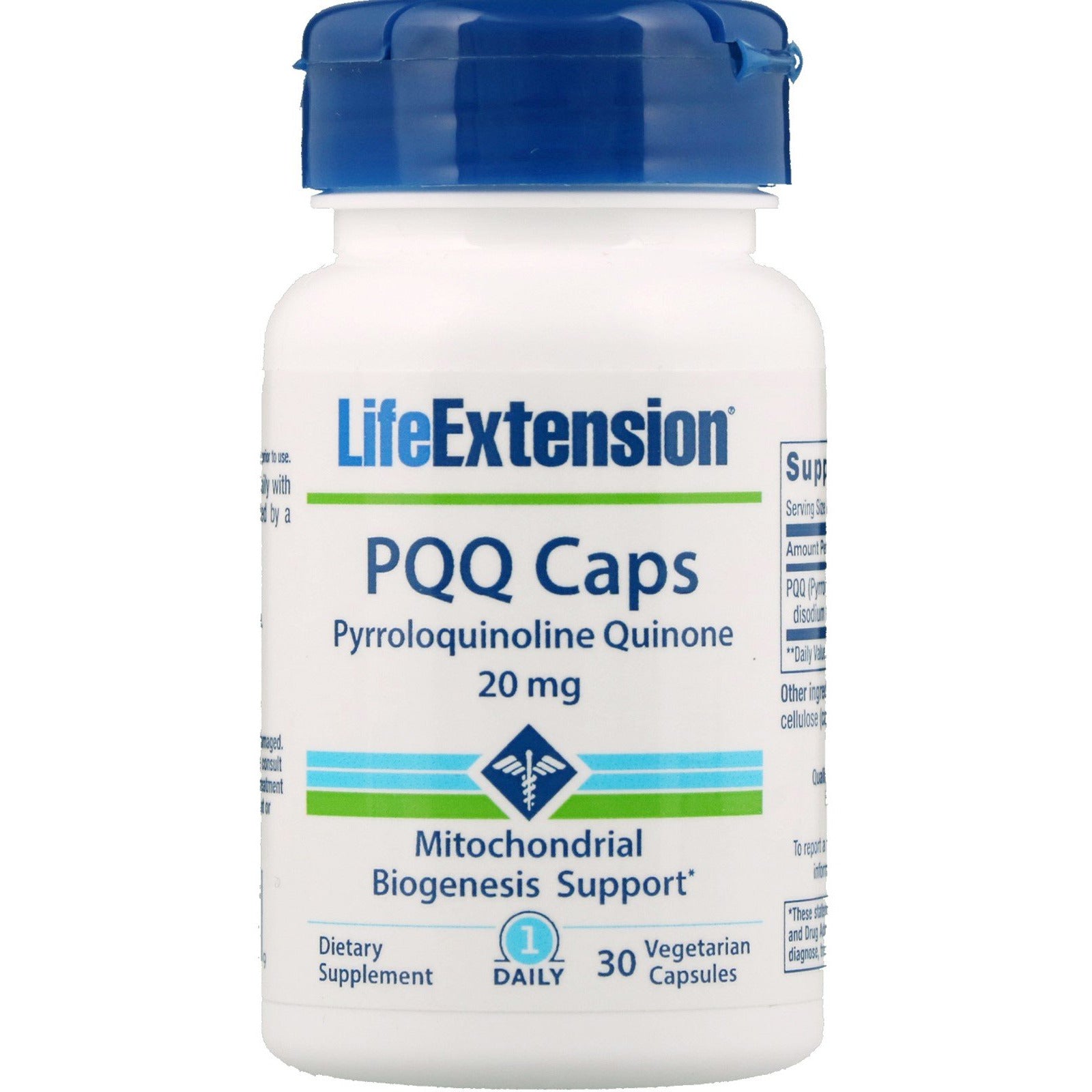 Life Extension