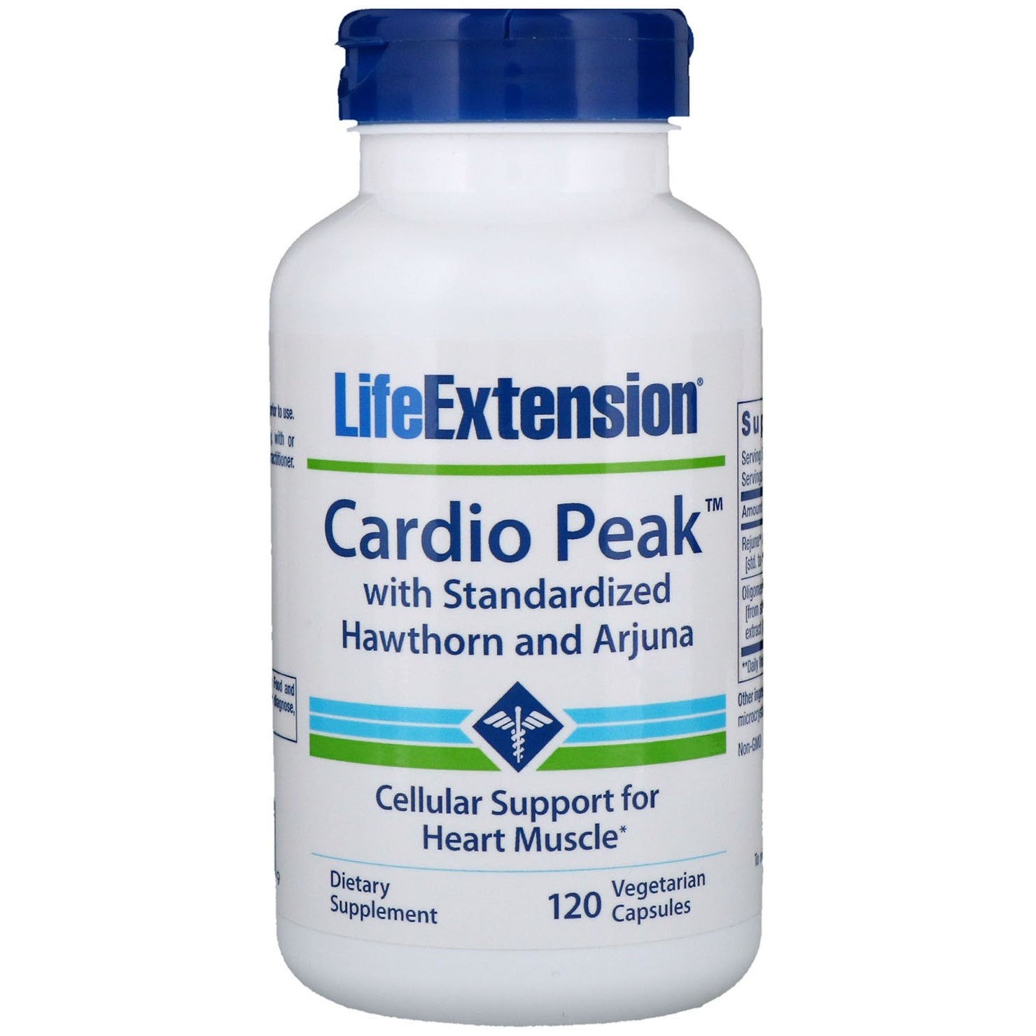 Life Extension