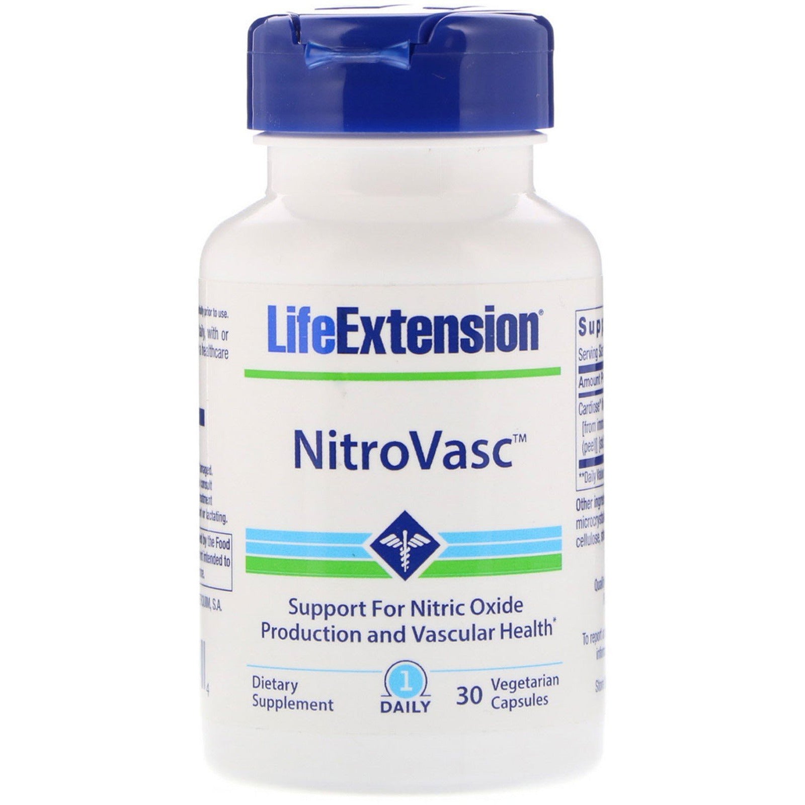 Life Extension